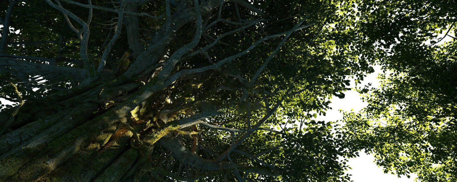 forest scene 26 3D Model .c4d .max .obj .3ds .fbx .stl .blend