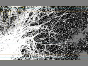 forest scene 26 3D Model