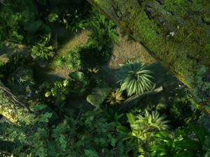 forest scene 27 Modelo 3D