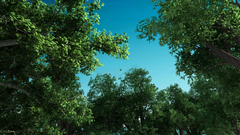 forest scene 29 3D Model .c4d .max .obj .3ds .fbx .stl .blend 