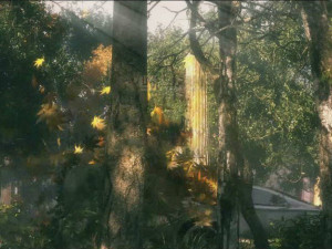 forest scene 32 3D-Modell