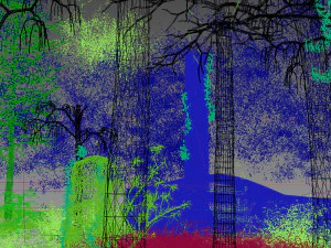 forest scene 32 3D Model