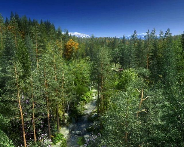forest scene 2 Modèle 3D .c4d .max .obj .3ds .fbx .stl .blend