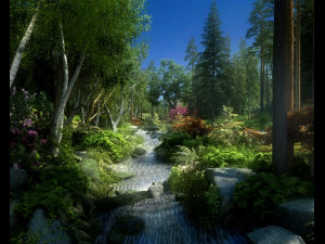 forest scene 2 Modèle 3D