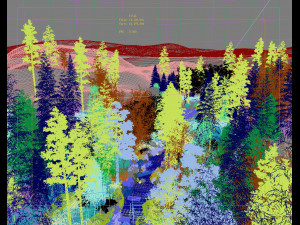 forest scene 2 Modèle 3D