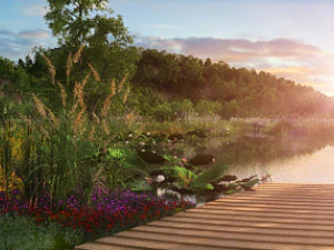 tumbuh-tumbuhan dan hutan di tepi danau 01 Model 3D