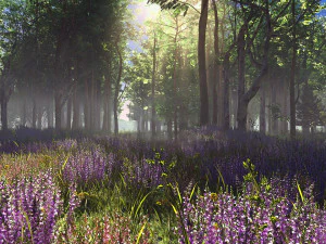 sc&egrave;ne de for&ecirc;t de lavande 01 Modèle 3D