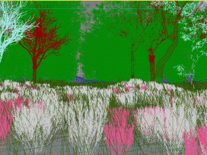 lavender forest scene 01 3D Model