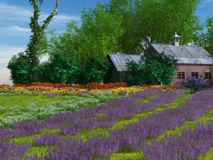 lavender field 3 3D Model