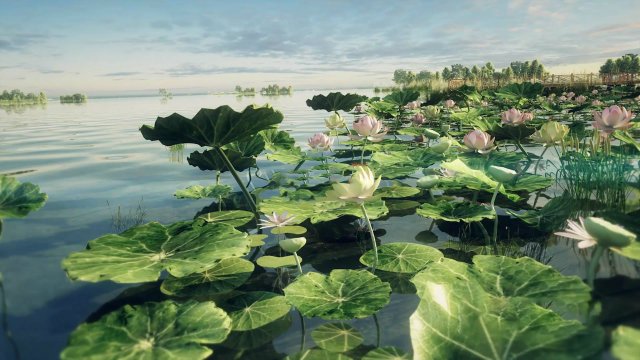lotus 02 Modelo 3D .c4d .max .obj .3ds .fbx .stl .blend 