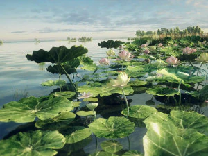 лотос 02 3D Модель