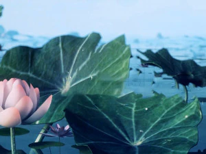 лотос 04 3D Модель