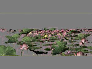 lotus 04 3D Model