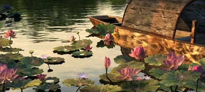 lotus 3D Model .c4d .max .obj .3ds .fbx .stl .blend 