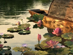 lotus 3D Model
