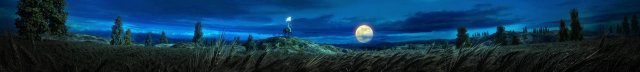 night wheat field 3D Модель .c4d .max .obj .3ds .fbx .stl .blend 