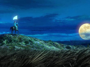 night wheat field 3D मॉडल