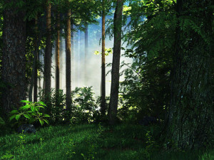 riparian forest scene 01 3D Модель