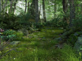 Riparian Forest Scene 02 3D Model