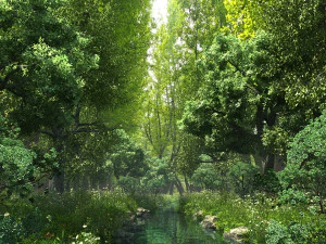 河岸森林场景 03 3D 模型