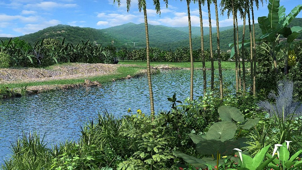 riparian landscape 6 3D Model .c4d .max .obj .3ds .fbx .stl .blend