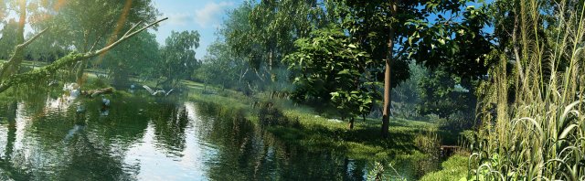 riparian forest scene 07 3D 模型 .c4d .max .obj .3ds .fbx .stl .blend 