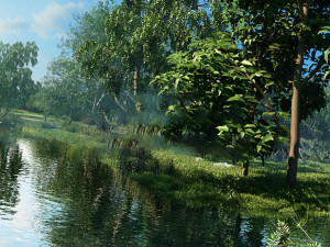 riparian forest scene 07 3D-Modell