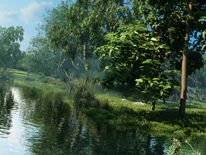 pemandangan hutan tepi sungai 07 Model 3D