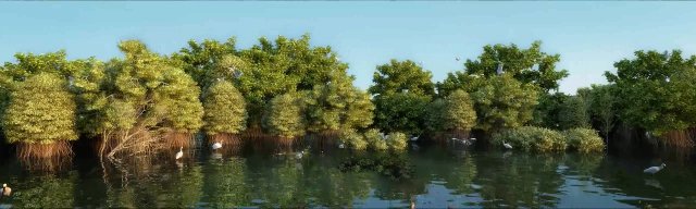 riparian forest scene 09 3D Model .c4d .max .obj .3ds .fbx .stl .blend 