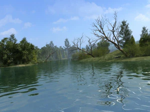riparian landcape 3D Model