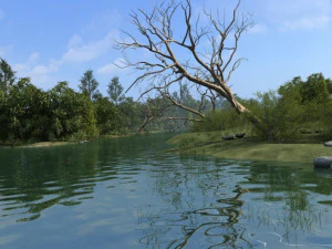 riparian landcape 3D Model