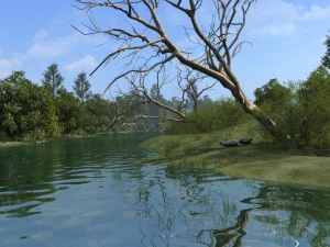 riparian landcape 3D Model
