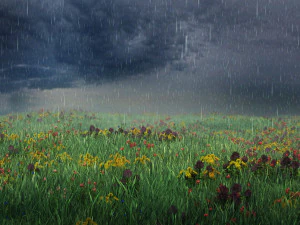 рост рассады 3D Модель