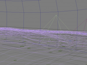 seedling growth Model 3D