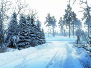 snow scene 002 3D 模型