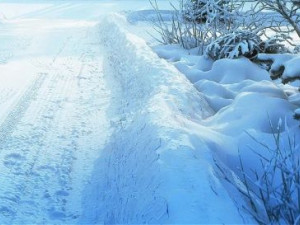 snow scene 002 3D Model