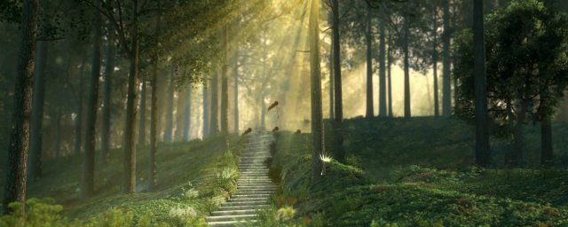 stairs in the woods 3D 模型 .c4d .max .obj .3ds .fbx .stl .blend 