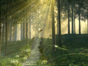 stairs in the woods Modelo 3D