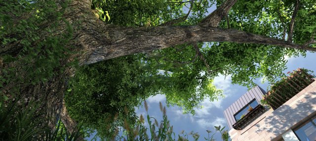 suburban forest 003 3D Model .c4d .max .obj .3ds .fbx .stl .blend 
