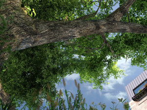 suburban forest 003 Modello 3D
