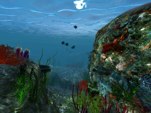 underwater world of coral and aquatic plants animated 003 3D Model