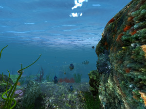 underwater world of coral and aquatic plants animated 003 Model 3D