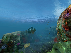 underwater world of coral and aquatic plants animated 003 Model 3D