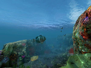 mondo sottomarino di coralli e piante acquatiche animato 003 Modello 3D