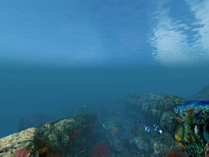 underwater world of coral and aquatic plants animated 003 Model 3D