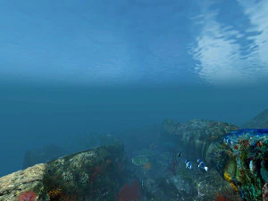 mondo sottomarino di coralli e piante acquatiche animato 003 Modello 3D