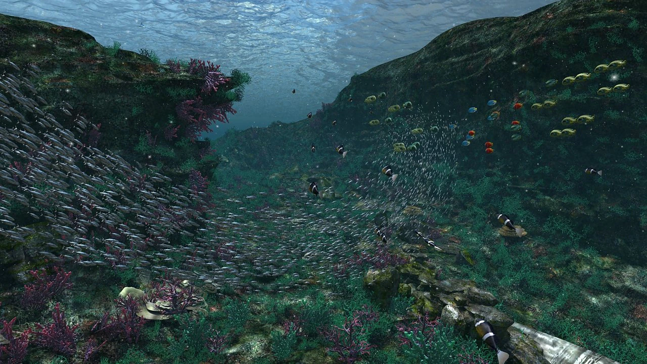 underwater world of coral and aquatic plants animated 004 3D Model .c4d .max .obj .3ds .fbx .stl .blend