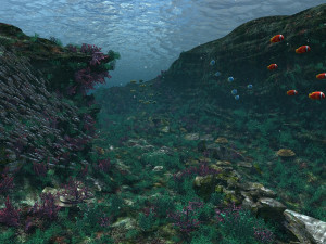 underwater world of coral and aquatic plants animated 004 3D Model