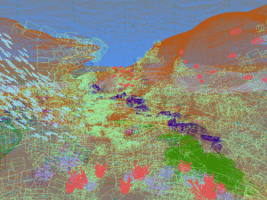 underwater world of coral and aquatic plants animated 004 3D Model