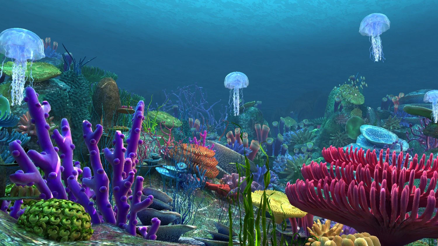 underwater world of coral and aquatic plants animated 005 3D Model .c4d .max .obj .3ds .fbx .stl .blend 